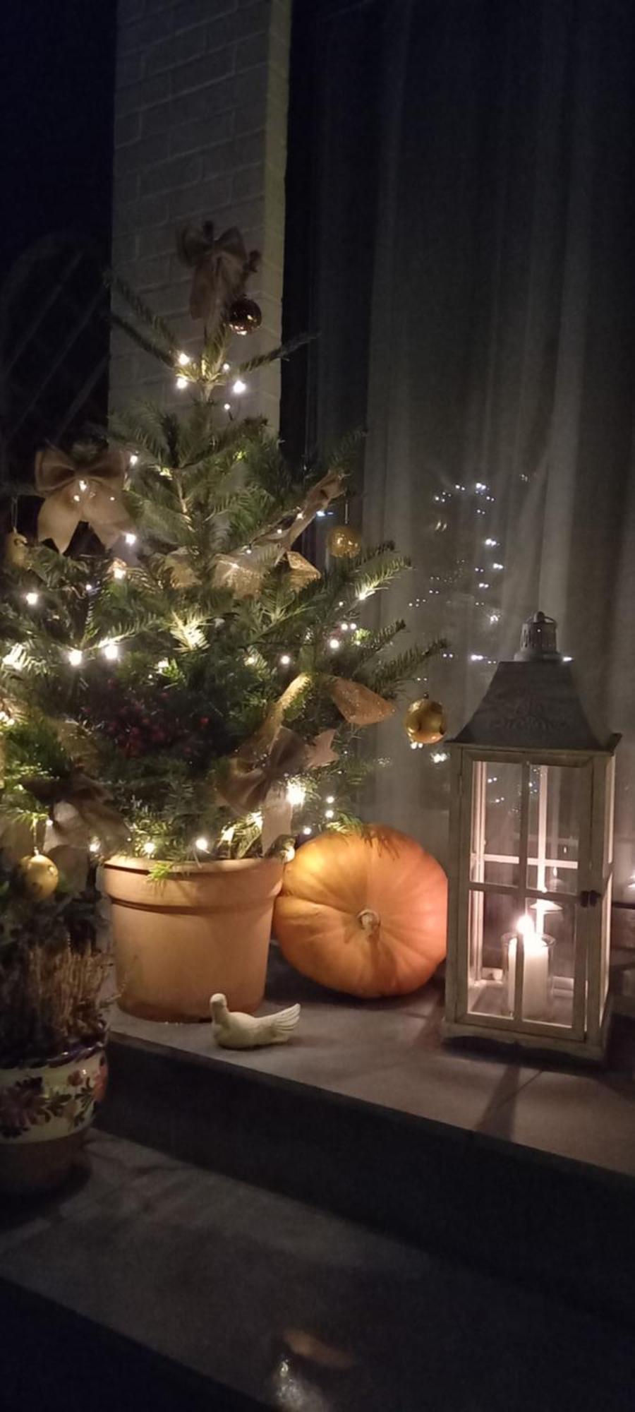 Cote Cosy Hotel Marche-en-Famenne Eksteriør billede